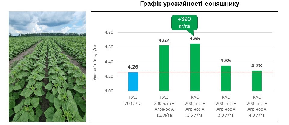 Агрінос А + КАС<br> Ефективність на соняшнику <br> 2021 рік