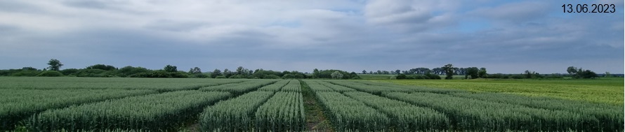 Агрінос А + КАС<br> Чи можна обійтися без заробки?