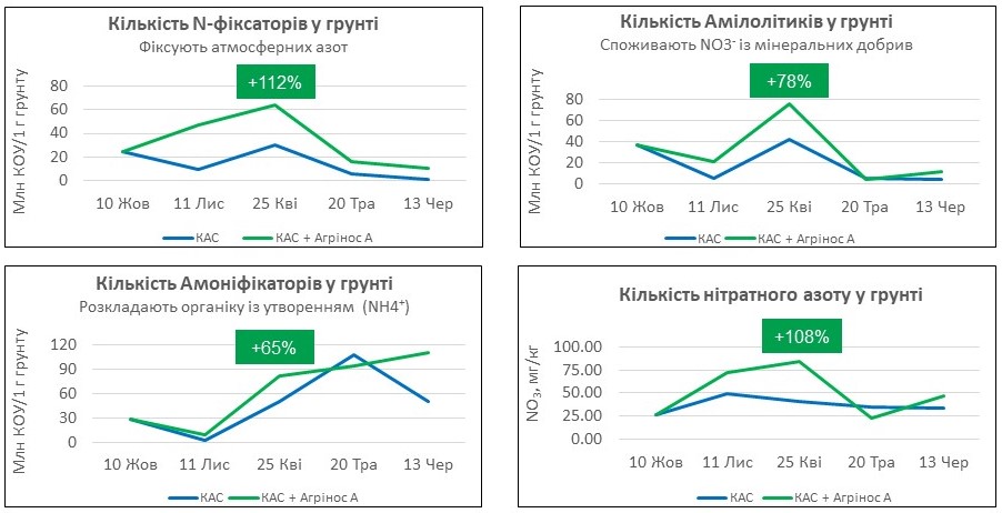 Агрінос А <br> Вплив на мікробіологічну активність грунту
