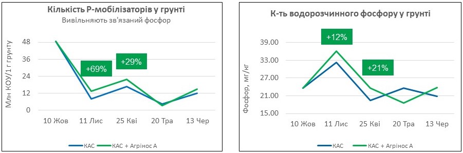 Агрінос А <br> Вплив на мікробіологічну активність грунту